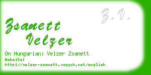 zsanett velzer business card